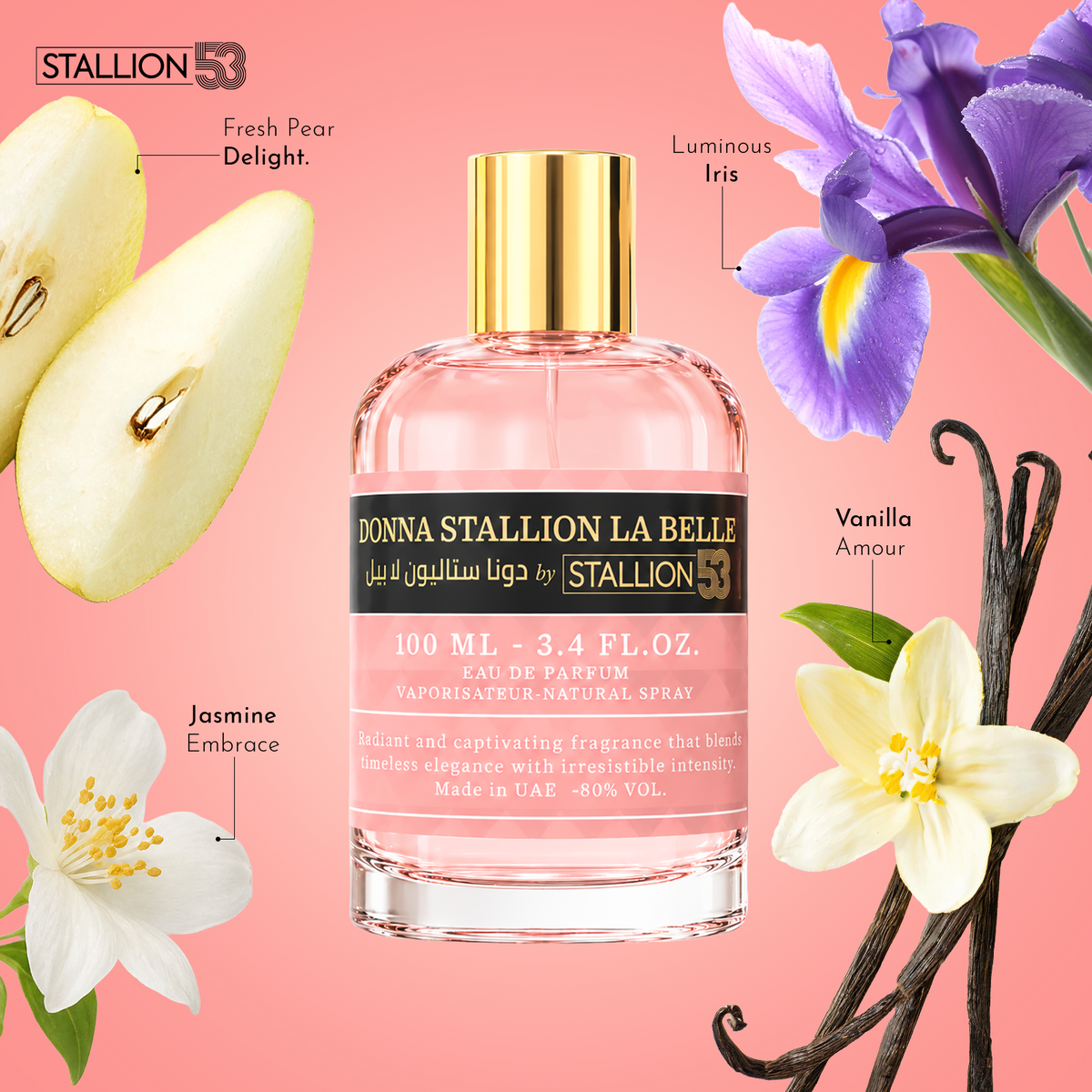 Donna Stallion La Belle
