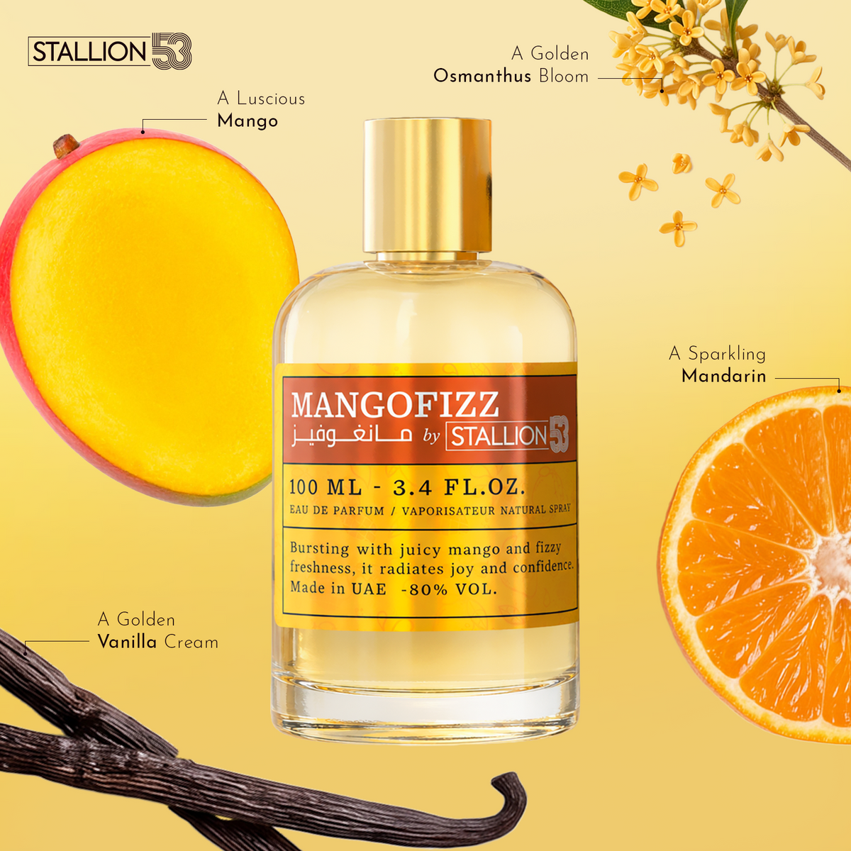 Mangofizz
