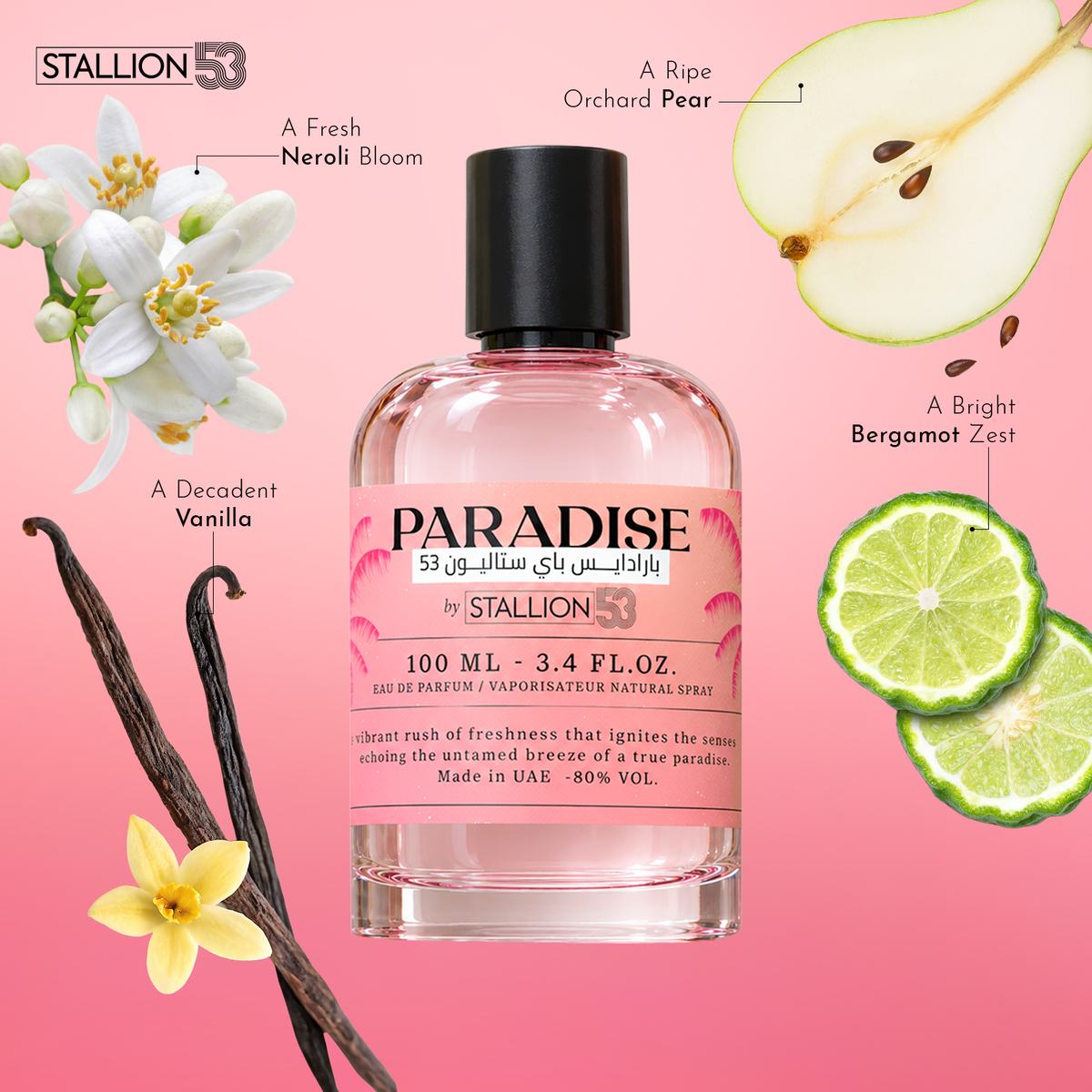 Paradise