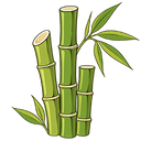 Bamboo