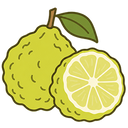 Bergamot