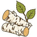 Birch