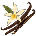 Bourbon Vanilla