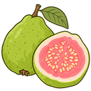 Guava