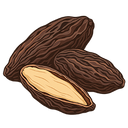Tonka Bean
