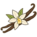 Vanilla
